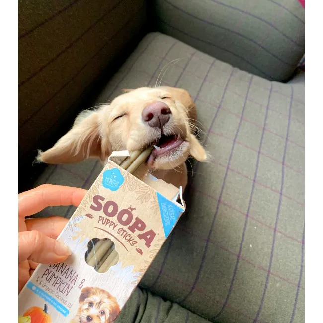Soopa PUPPY Dentals  BANÁNOS & TÖK