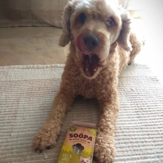 Soopa Dentals KELKÁPOSZTA & ALMÁS