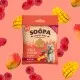 Soopa Bites MANGÓ ÉS MÁLNA