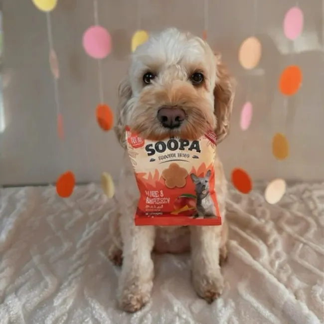 Soopa Bites MANGÓ ÉS MÁLNA