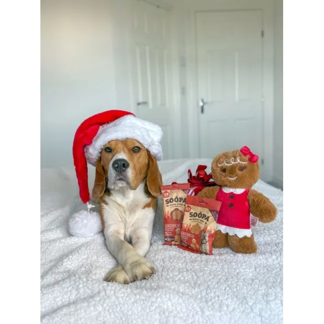 Soopa Dentals GYÖMBÉRES KEKSZEK