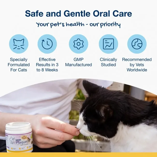 ProDen PlaqueOff SOFT CHEWS macskáknak