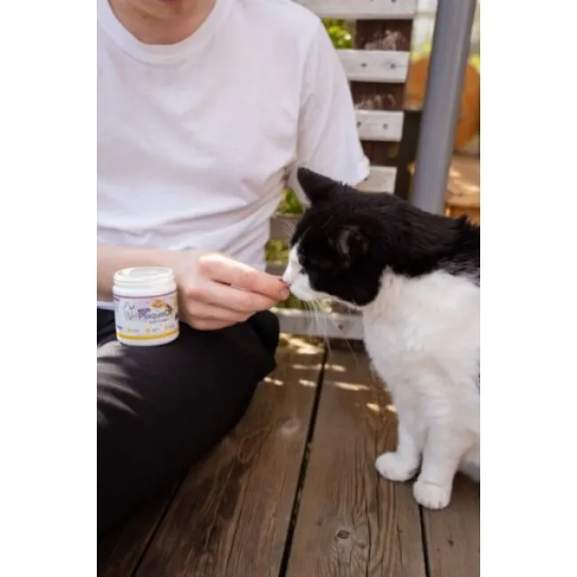 ProDen PlaqueOff SOFT CHEWS macskáknak