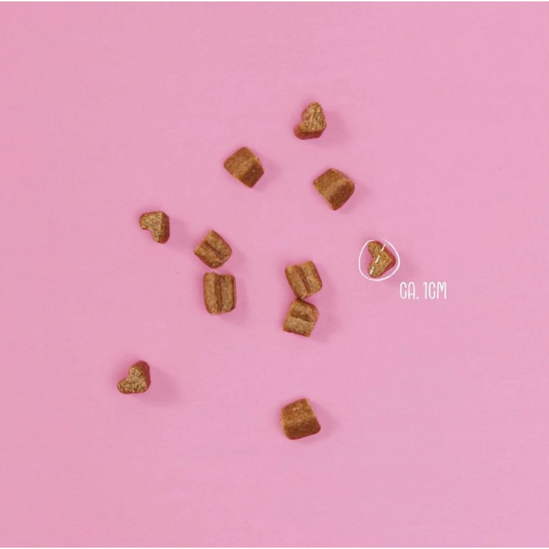 Vegdog MOBILITIES MINIS